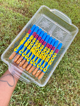 Load image into Gallery viewer, Decorated: Chocolate Covered Pretzel Rods